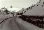 Försök med utförande av stödmurar med gabionkorgar vid Klingaforsen på vägen Idre - Foskros. River and Sea Gabions Ltd. Länsväg 1057 Dalarnas län.