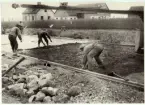 Betongbeläggningsarbeten på vägen Getinge-Lund. Idag Länsväg 946 Skåne län.