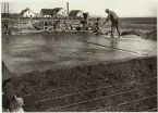 Betongbeläggningsarbeten på vägen Getinge-Lund. Idag Länsväg 946 Skåne län.