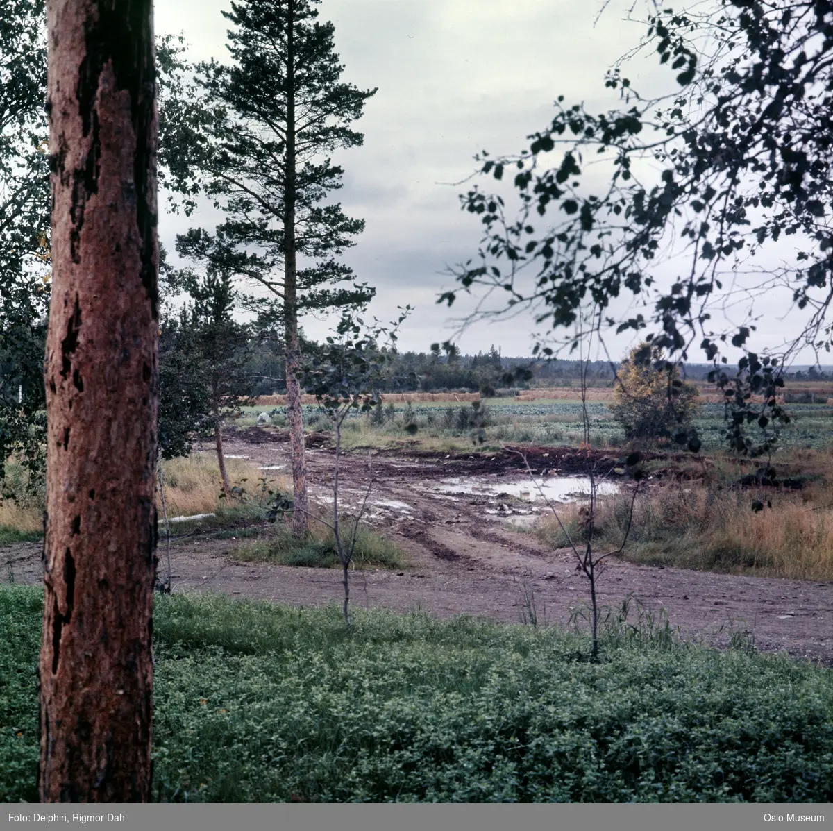 Grorud gård, utmark