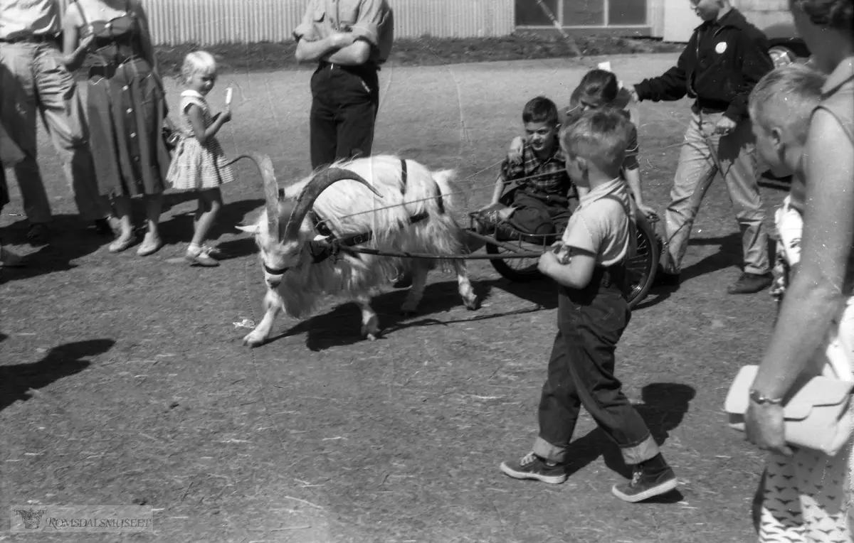 "1959"."Ekeberg".Trolig fra Ekeberg juni 1959 under landbruksutstilling.