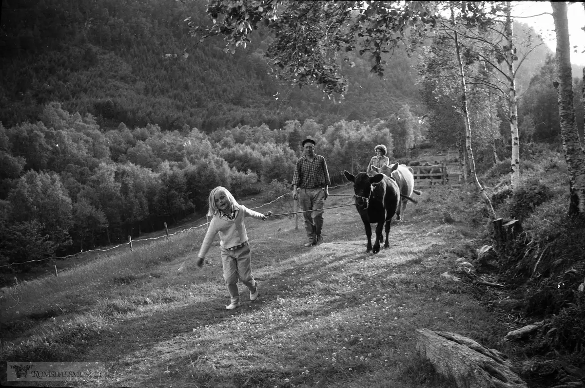 "Juli 1962"."På Reiten 22.07.1962"