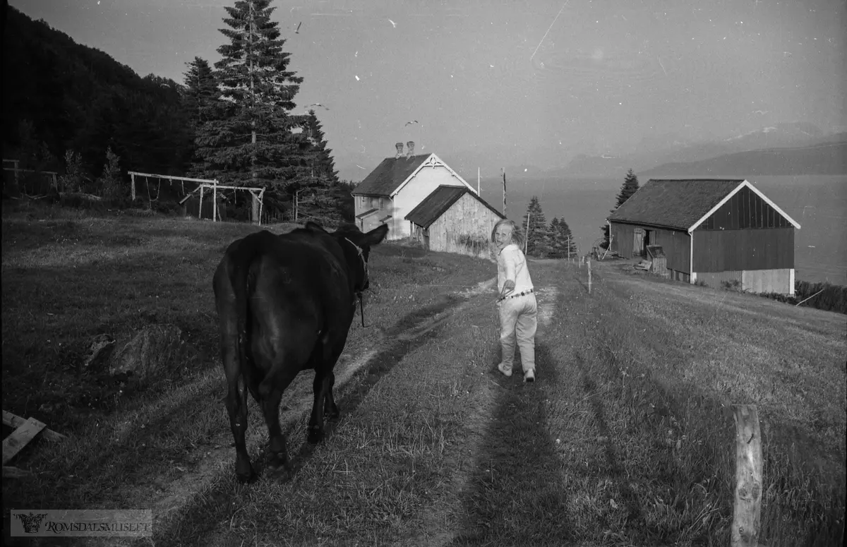 "Juli 1962"."På Reiten 22.07.1962"
