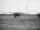 Ögonblick från 1906 års nationella  lantbruksmöte i Norrköping. I stunden så kallad hästpremiering.