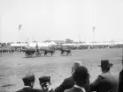 Ett elegant fyrspann fångar åskådarnas uppmärksamhet. Bild från 1906 års allmänna svenska lantbruksmöte i Norrköping.