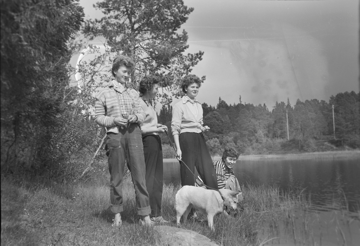 Sommer på Lian
