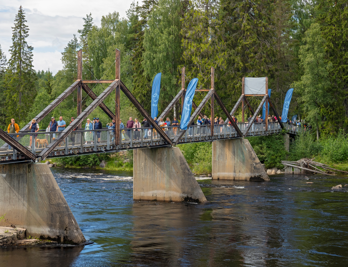 Fra De nordiske jakt- og fiskedager 2024, som ble arrangert for 60. gang i perioden 8-11 august på Anno Norsk skogmuseum på Elverum, Innlandet. Publikum på Klokkerfossbrua over Glomma. Dette fotografiet viser trafikken på Klokkerfossbrua - mellom Glommas østre bredd og Prestøya - der det denne dagen var Elverumsutstilling med 6-700 påmeldte hunder i tillegg til arrangementets Innlandsfisketorg og en del barneaktiviteter.