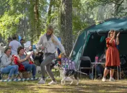 Fra De nordiske jakt- og fiskedager 2024, som ble arrangert 