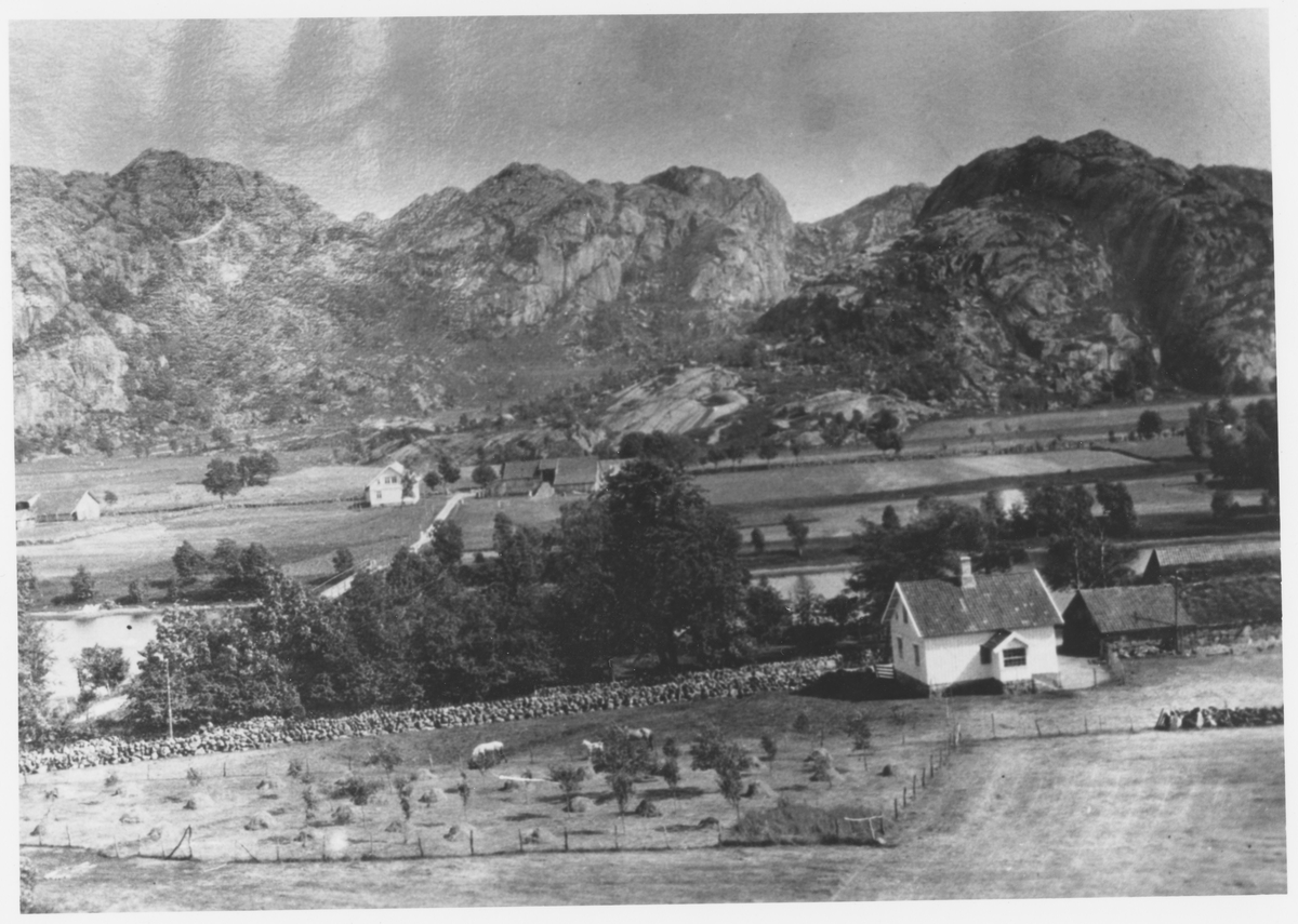 Tengesdal, Bjerkreim -Dalane Folkemuseum / DigitaltMuseum