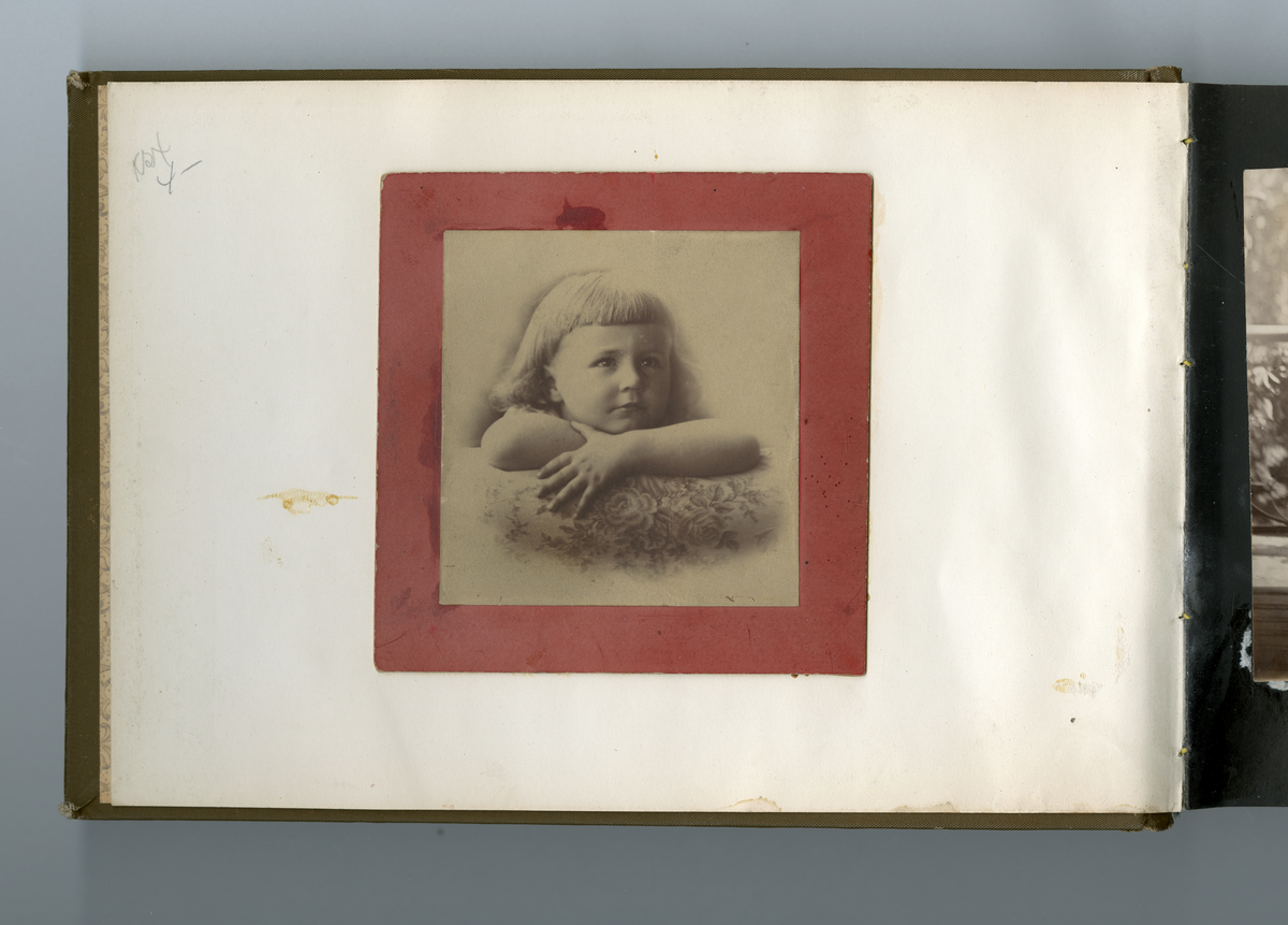 Fotoalbum tilhørende familien Aall på Ulefos hovedgård (Ulefos, Telemark). Foto fra ulike steder, noe antagelig fra Dahl gård på 1800-tallet, nyere materiale tatt på Ulefos Hovedgård i Ulefos (Telemark) på tidlig 1900-tallet

Faye familien og Aall familien var i slekt