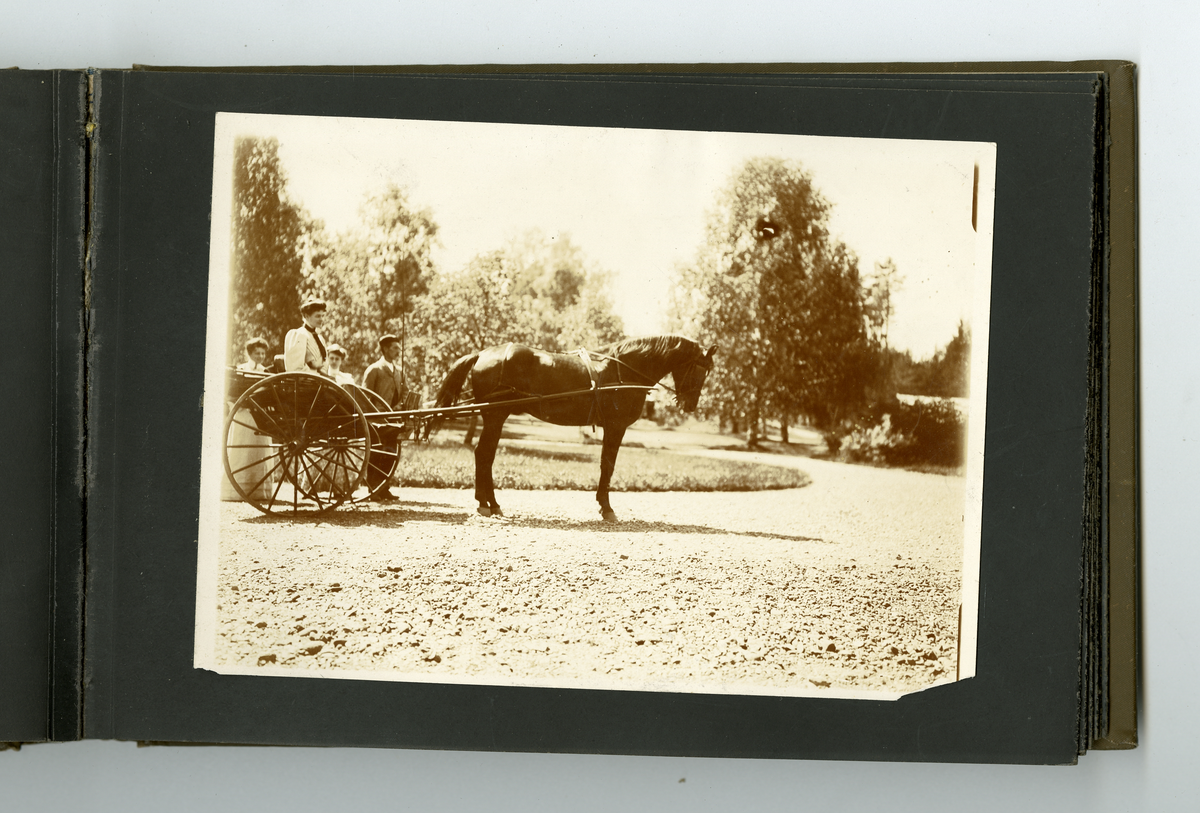 Fotoalbum tilhørende familien Aall på Ulefos hovedgård (Ulefos, Telemark). Foto fra ulike steder, noe antagelig fra Dahl gård på 1800-tallet, nyere materiale tatt på Ulefos Hovedgård i Ulefos (Telemark) på tidlig 1900-tallet

Faye familien og Aall familien var i slekt