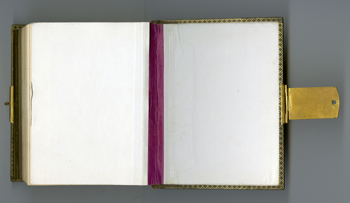 Visittkortalbum som inneholder portretter (av type carte de visite/visittkort) av familien Aall/Faye, deres venner og bekjente fra midten av 1800-tallet. Inneholder også foto av kjente skikkelsen der i blant doktor Mary Edwards Walker (1832 - 1919)