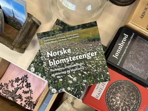 Museumsbutikk på Lesja bygdemuseum