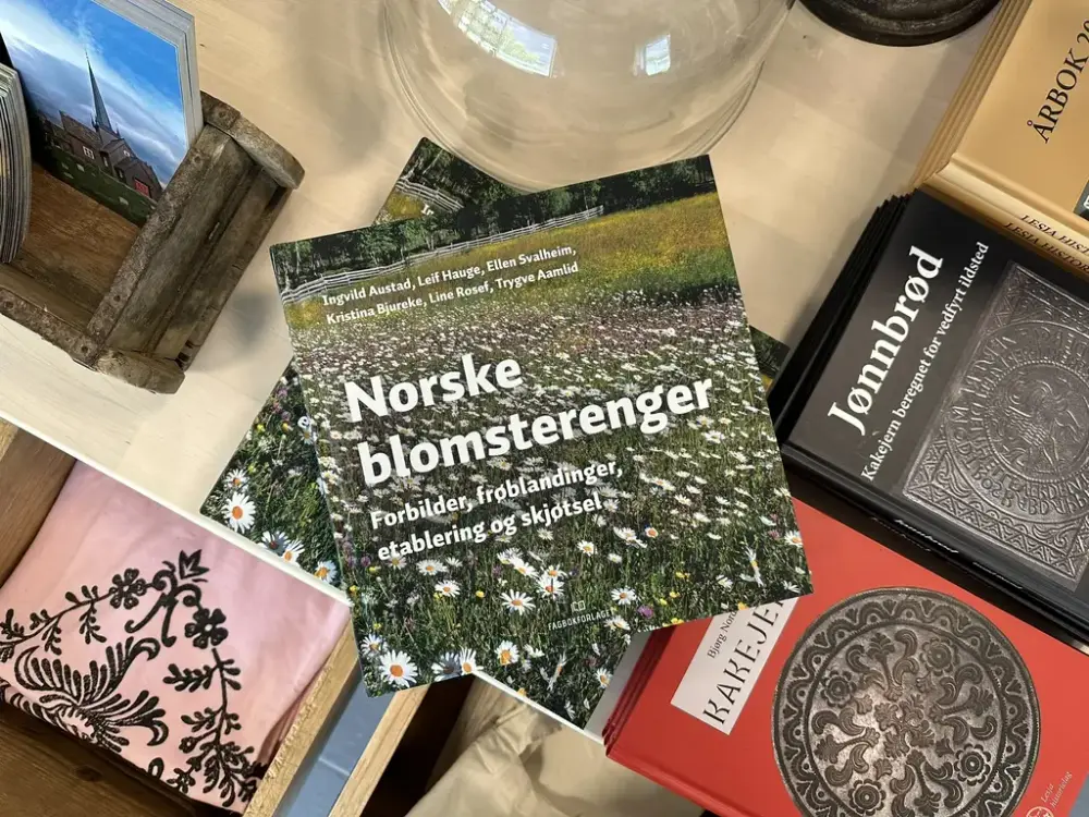 Museumsbutikk på Lesja bygdemuseum