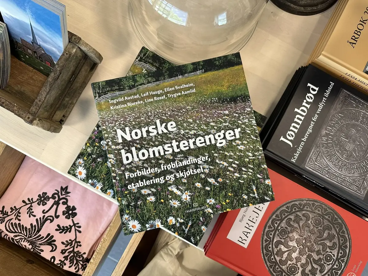 Museumsbutikk på Lesja bygdemuseum