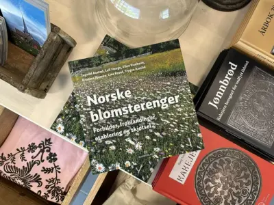 Museumsbutikk på Lesja bygdemuseum