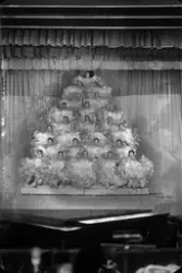 Chat Noirs ballett på scenen i Colosseum kino januar 1929.