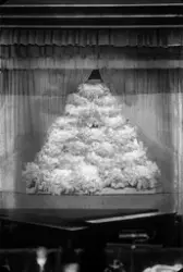 Chat Noirs ballett på scenen i Colosseum kino januar 1929.