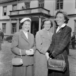 Immatrikulering ved Norges Lærerhøyskole