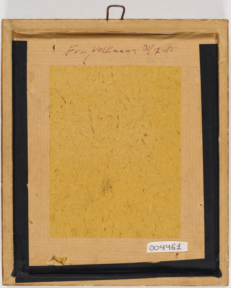 Daguerreotypi: Dobbeltportrett av et par som viser ringer. Han med bok.