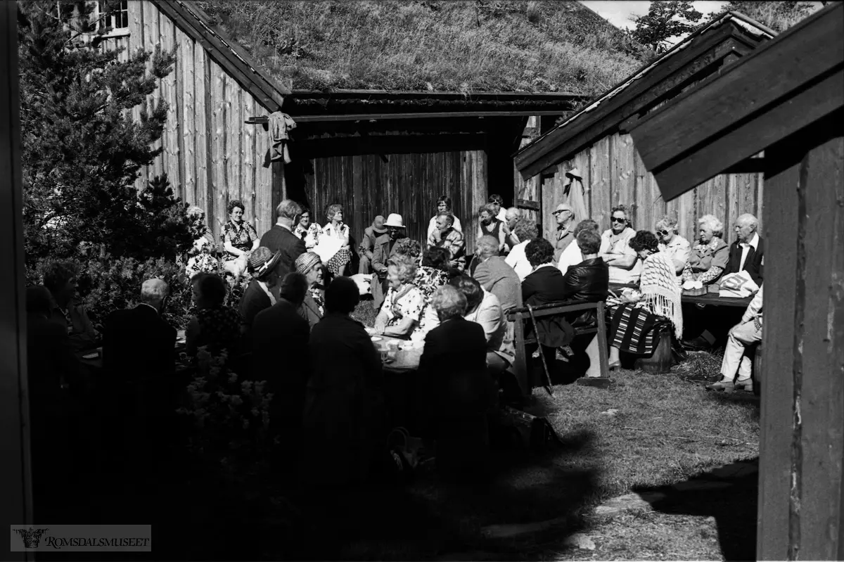 Rorbukokkestemne på Fiskerimuseet august 1978. Eldre kvinner som hadde koka for sesongfiskarar som budde i fiskestuer, rorbuer, "uti øyå" i sesongen var inviterte. Dette varde fram til ca. 1935. Kvinner frå heie Romsdalskysten vart inviterte. Bjørneremstua og Teistklubbstua er gode eksempel på hus der dei koka. Bjørnremstua i bakgrunnen.