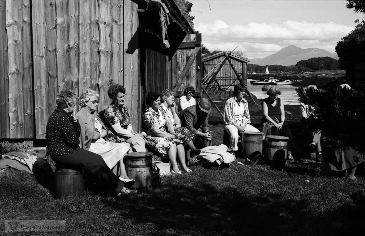 Rorbukokkestemne på Fiskerimuseet august 1978. Eldre kvinner som hadde koka for sesongfiskarar som budde i fiskestuer, rorbuer, "uti øyå" i sesongen var inviterte. Dette varde fram til ca. 1935. Kvinner frå heie Romsdalskysten vart inviterte. Bjørneremstua og Teistklubbstua er gode eksempel på hus der dei koka.