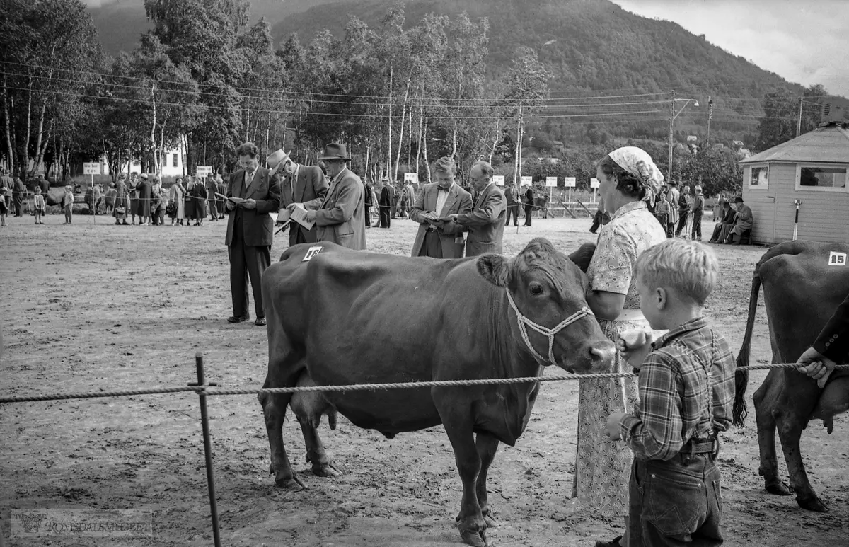 "1958"."Ørsta-tur"