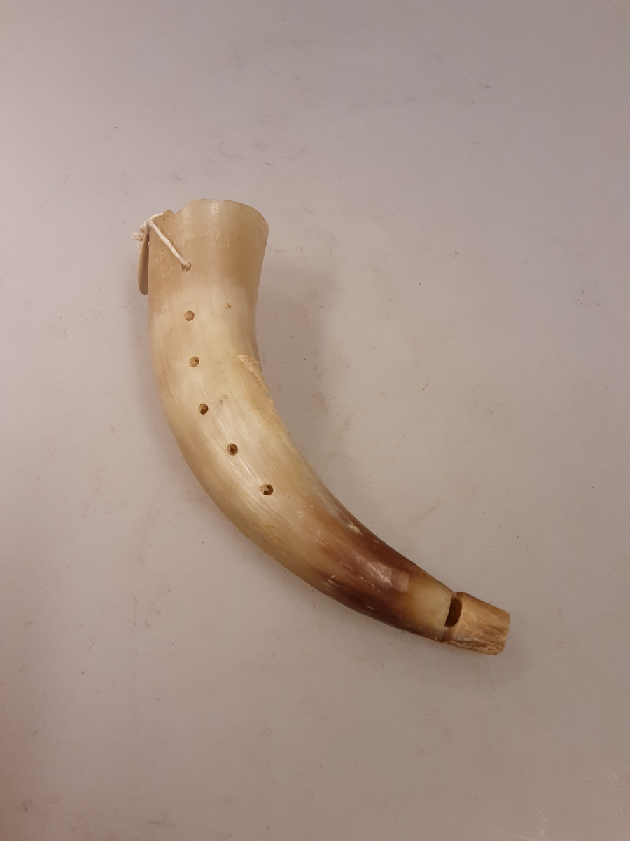 Kuhorn, med blåsehull og 6 tonehull. Fløyte.
