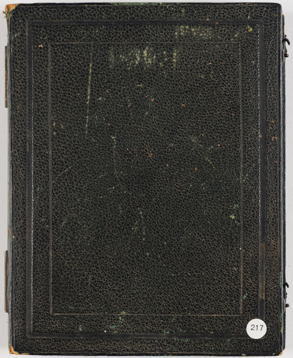 Daguerreotypi: Portrett av en sittende kvinne med krøller, halvfigur.