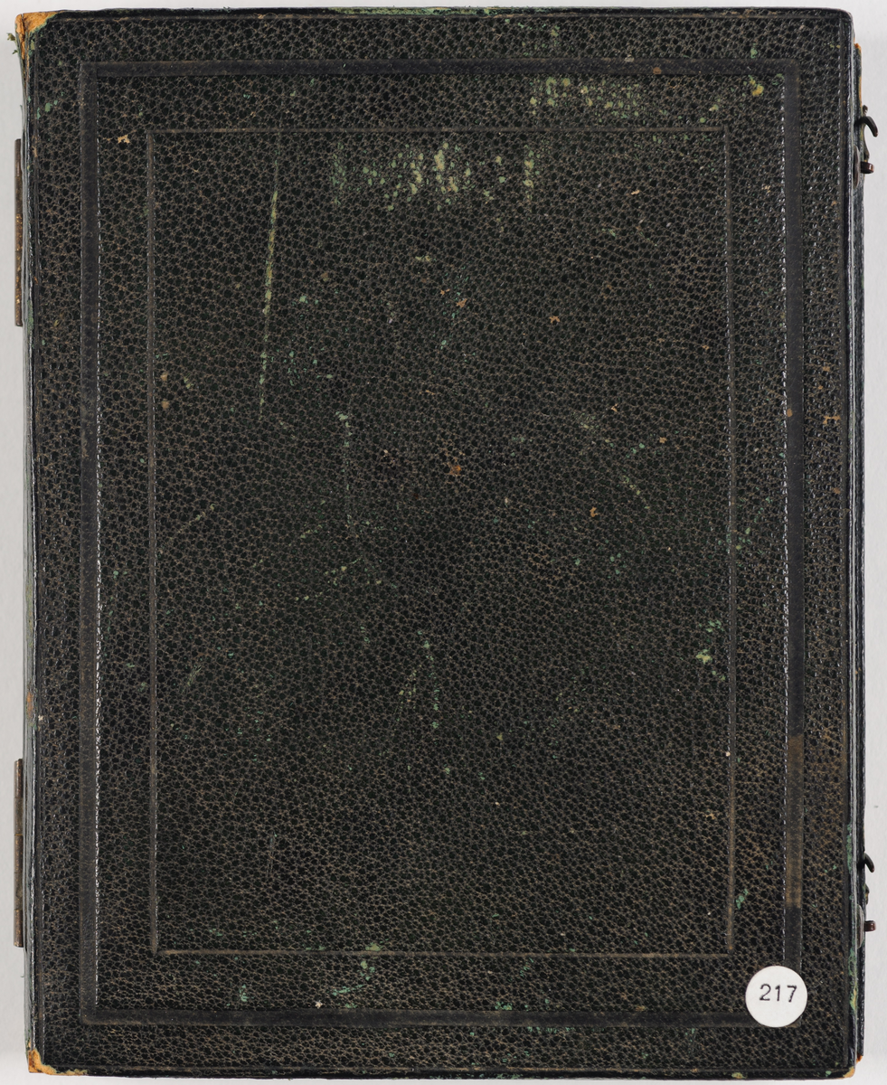 Daguerreotypi: Portrett av en sittende kvinne med krøller, halvfigur.