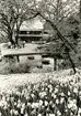 Tobaksmuseet i Gubbhyllan sett från en blomsterodling.