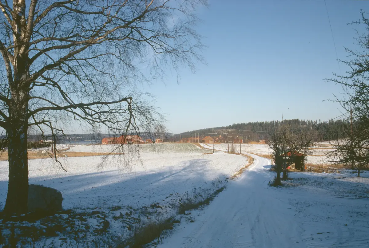 Näs by.