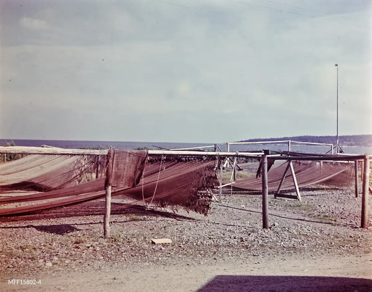 Sex färgfotografier från 1950-talet. Motiv: Lörudden. 

1. Ägare  till byggnaderna, från vänster: Otto Sillman, Otto Sillman, Signe Simonsson, Halvard Nordin och Oskar Styf + två systrar. 
2. Nät som hänger på tork.
3. Ägare  till byggnaderna, från vänster: Thure Nordberg, Elis Nordberg, Oskar Simonsson, Oskar Simonsson, Teodor Sehlstedt, Johan Sundman, Henry Sjöberg, Isboden och Filip Hägg. 
4. Nät som hänger på tork.
5. Ägare  till byggnaderna, från vänster: Alf Synnergren, Thure Nordberg, Alf Synnergren, bröderna Jansson, sedan Rolf Sundström.
6. Nät som hänger på tork.