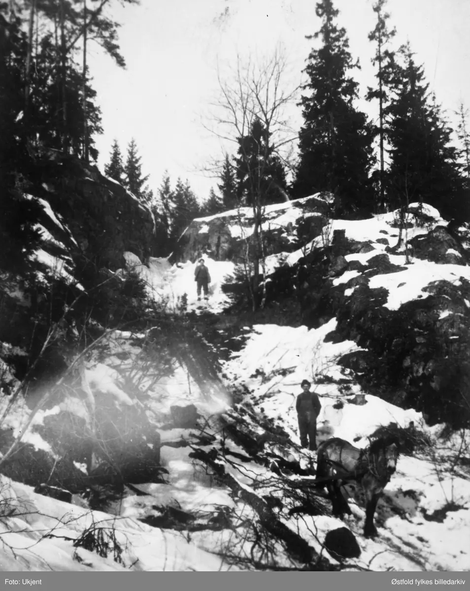 Solberg i Tune ca. 1935, tømmerkjøring i skogen.
Johan Jelsnes (Karlsen) og Johan Solberg med hesten. Begge er tømmerkjørere.