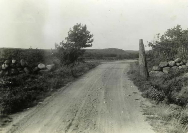 Gammal väg genom hedlandskap, vägen mellan Frillesås-Gällinge, nära Breared i Gällinge. Till höger förefaller en rest sten stå i vägkanten vid stengärdsgården.