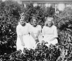 "3 Norrlänningar vid Västkusten." Tre flickor sitter i ett s