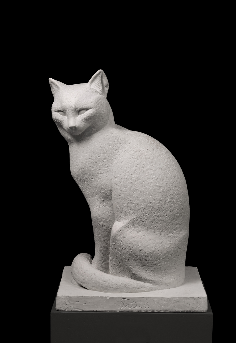 Katt i heilfigur