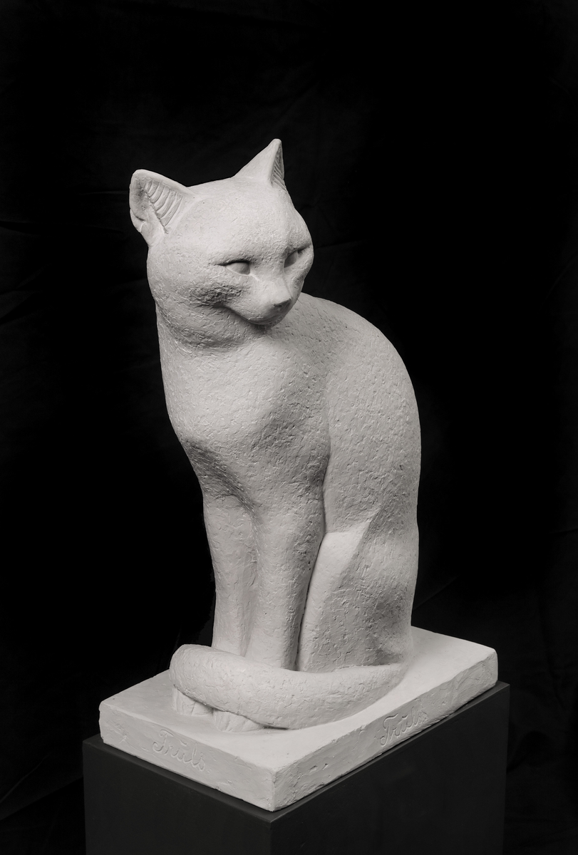 Katt i heilfigur
