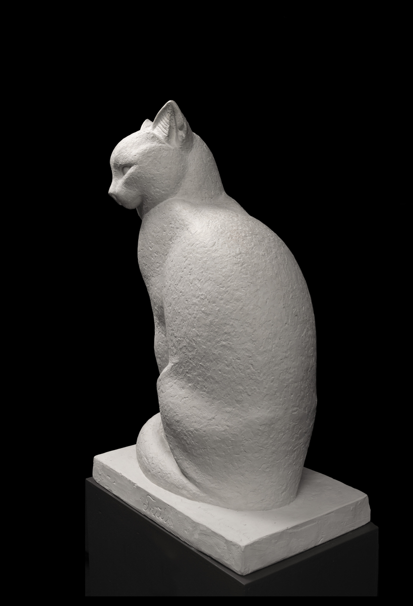 Katt i heilfigur