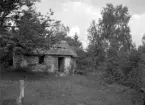 Från Östergötlands museums inventering av äldre bebyggelse i Tjärstad, visar vi detta något suddiga fotografi mot resterna av backstugan Sundsberg under Sonebo. Foto 1951.