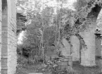 Del av Alvastra klosterruin 1893 eller möjligen 1894.