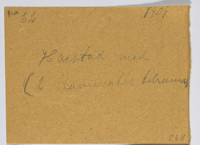 Portrett av tre menn i ett av folkehøgskolens soveværelser 1909. Antatt elever ved Eidsvoll folkehøgskole. 

Tekst på baksiden: Harstad med 2 kamerater tilreisende. 1909.