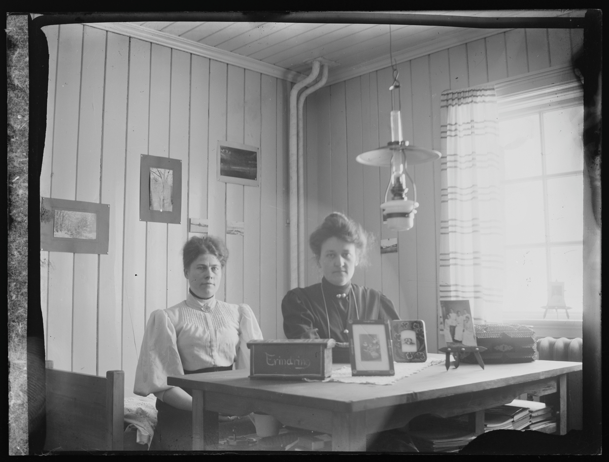 Portrett av to kvinner som poserer bak en skrivepult i ett av folkehøgskolens soveværelser i 1909. Antatt elever ved Eidsvoll Folkehøgskole.

Påskrevet konvolutt:  Frk. Norby og Christoffersen. No. 55, 1909, 358.