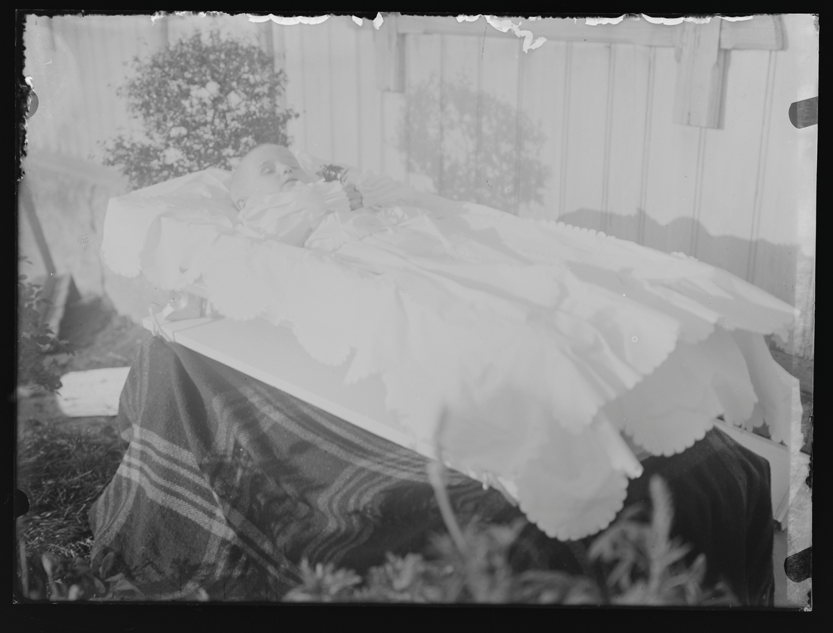 Post-mortem fotografi av et barn med hvit kjole i en åpen kiste. Antatt fotografert i 1908-09.