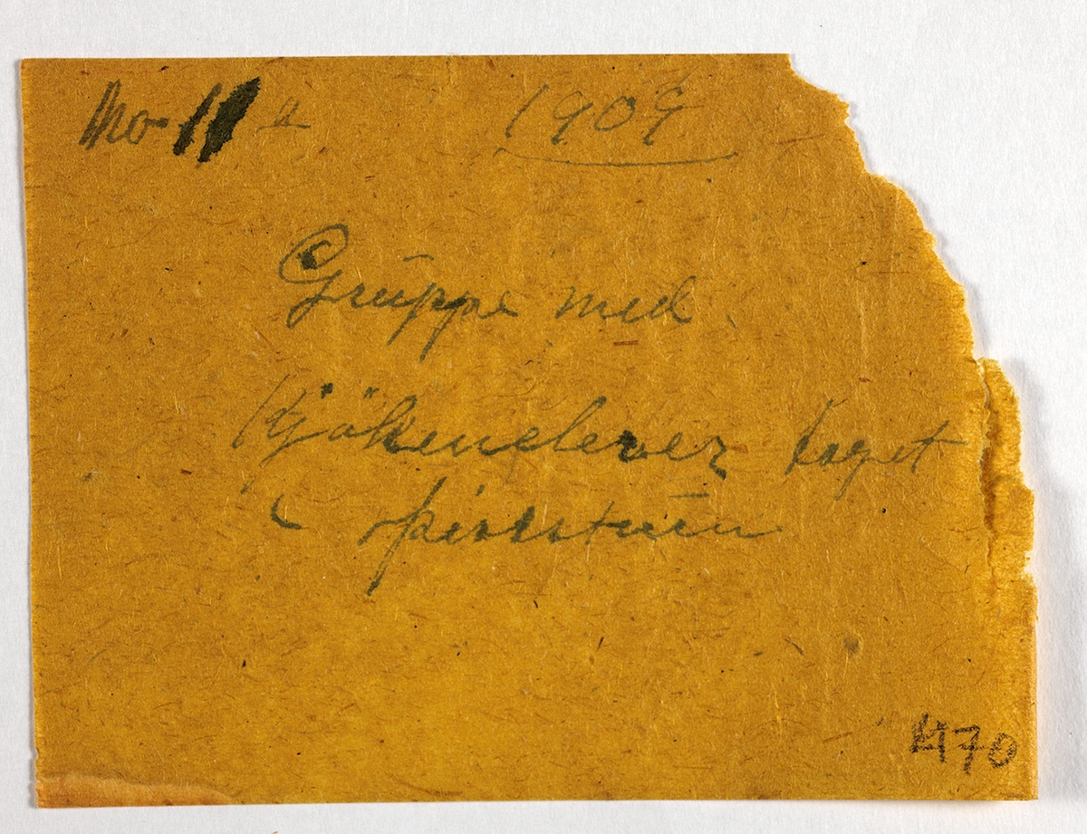 Klassebilde i spisestuen til Eidsvoll Folkehøyskole i 1909. 

Påskrift konvolutt "No 11, 1909, 470. Gruppe med Kjøkkenelever taget i spisestuen."