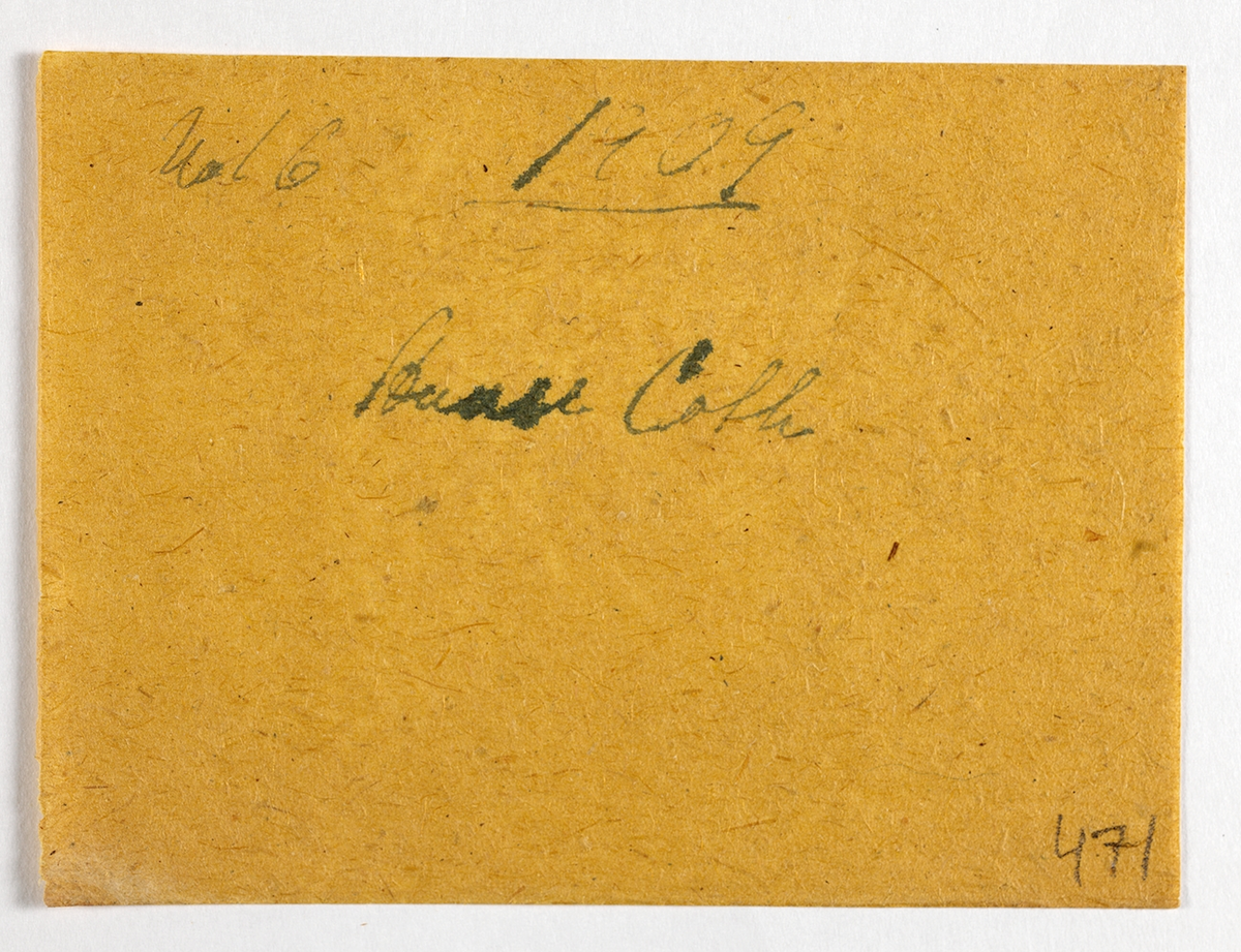 Portrett av jente stående på en benk i en peisstue i Eidsvoll Folkehøgskole fotografert i 1909.

På konvolutt Aase Coth, 471. No. 16. 1909.