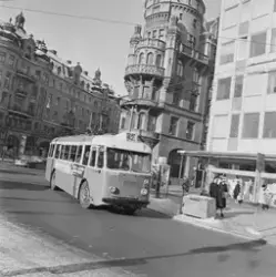 Trådbuss på linje 42