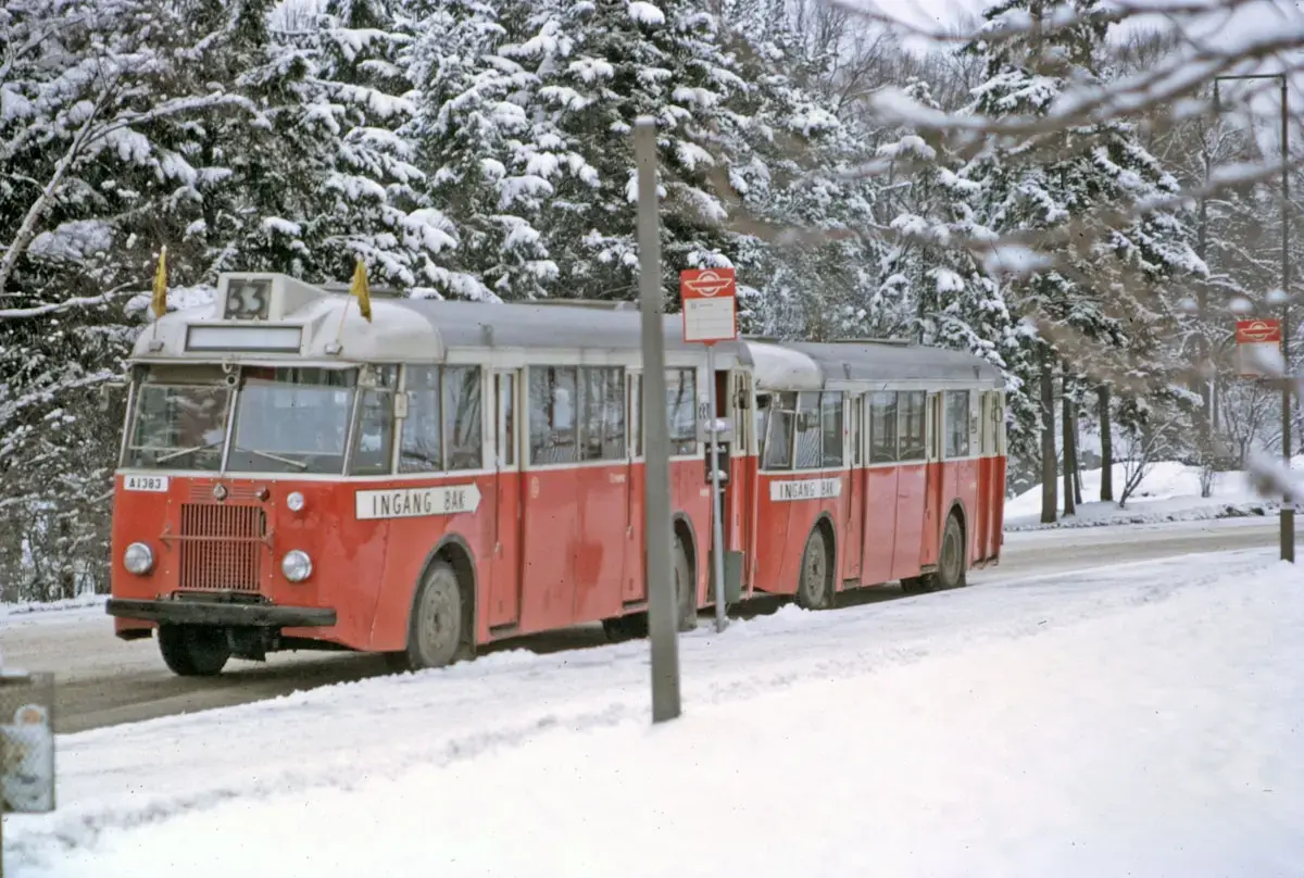 Bussar på linje 33 vid snöklädd granskog