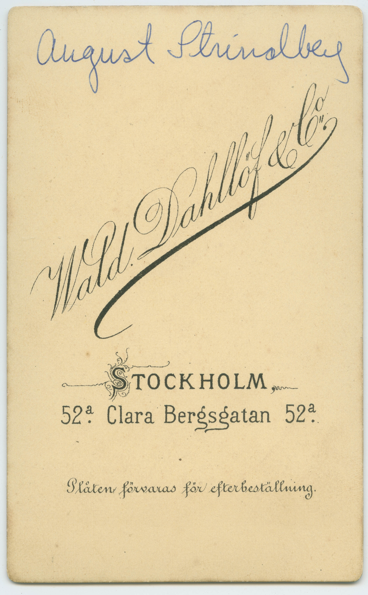 Porträtt på Författare August Strindberg