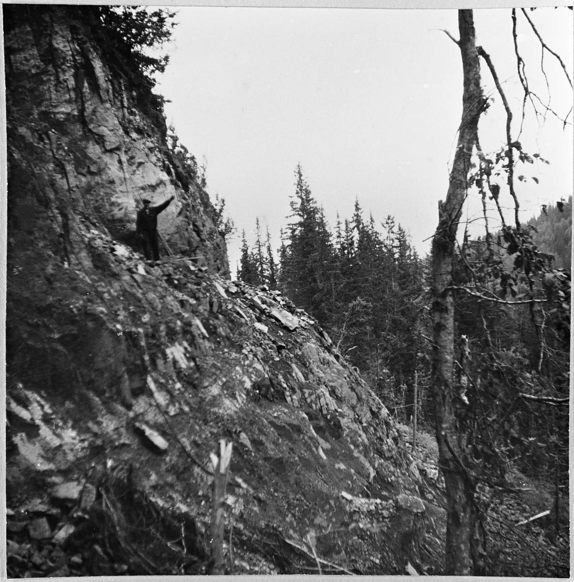 Bygging av skogsbilveg i Sullestadskogen i Totenvika ca. 1961-62. Her ser vi skytebas Osvald Halvorsen oppe i fjellskråningen der vegen skal gå. Han er sikret med et tau rundt livet. Man har fått sprengt ut ei lita hylle.
